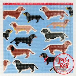 Blue Dachshunds