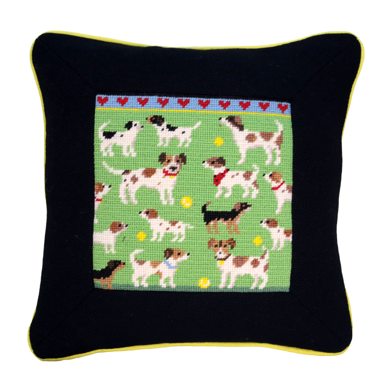 Jolly Jack Russells Jolly Red